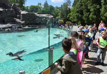 Wycieczka do Zoo w Krakowie